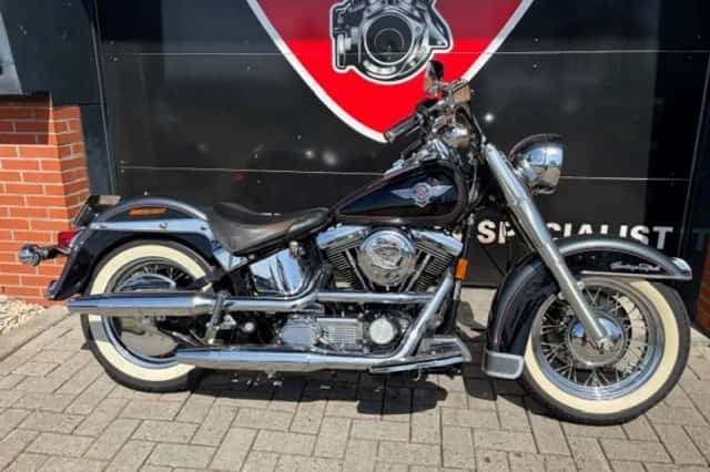 DS 1994 FLSTN SOFTAIL NOSTALGIA (1994) thumbnail 2