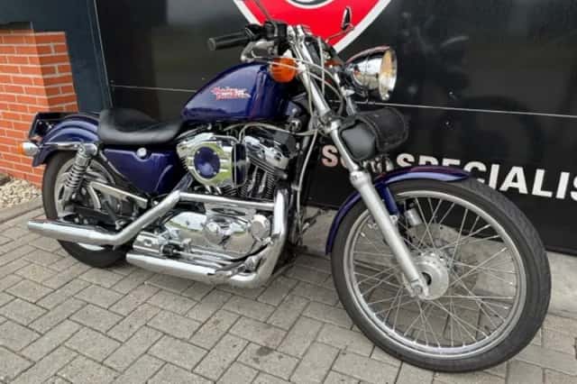 DS 1999 XL1200 SPORTSTER CUSTOM (1999) thumbnail 3