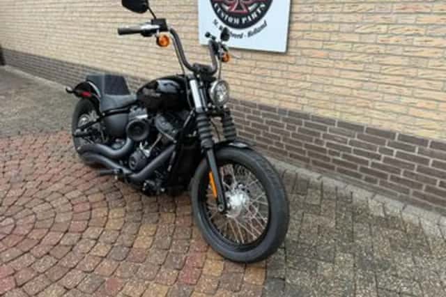 HARLEY-DAVIDSON STREET (2019) thumbnail 2
