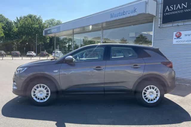 Opel Grandland X (2019) thumbnail 2