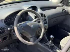 Peugeot 206 (2008) thumbnail 17