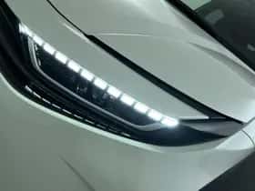 Toyota Urban Cruiser (2026) thumbnail 9