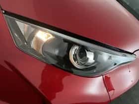Toyota Yaris (2026) thumbnail 9