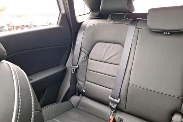 Mitsubishi Grandis (2025) thumbnail 11
