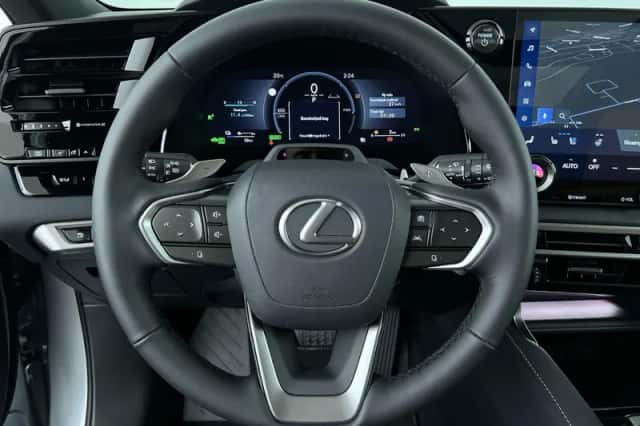 Lexus RX (2025) thumbnail 15