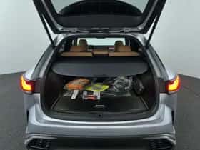 Lexus RX (2025) thumbnail 27