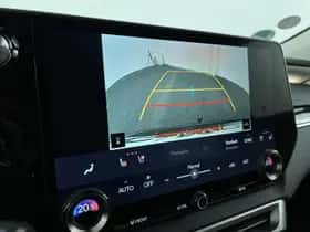Lexus RX (2023) thumbnail 20