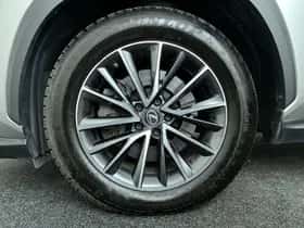 Lexus NX (2022) thumbnail 10