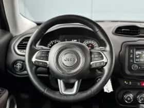 Jeep Renegade (2014) thumbnail 14
