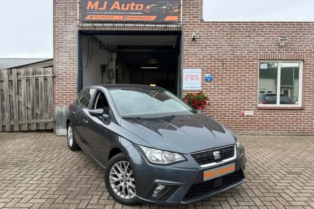 SEAT Ibiza (2019) thumbnail 1