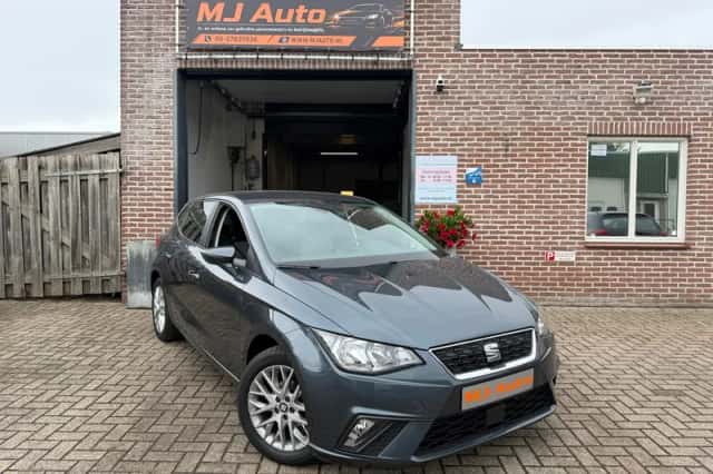 SEAT Ibiza (2019) thumbnail 1