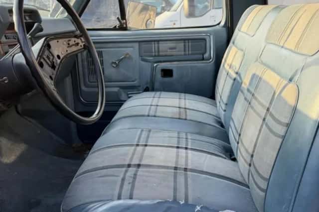 Ford F-100 (1980) thumbnail 3