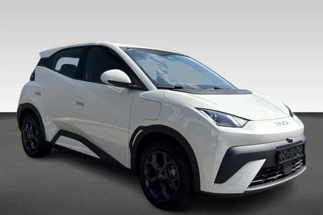 BYD Dolphin (2026) thumbnail 5
