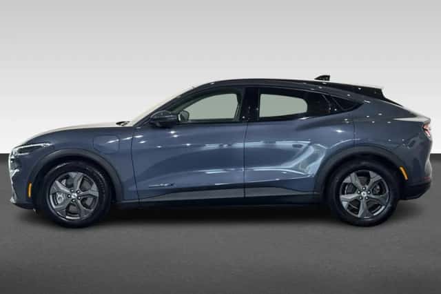 Ford Mustang Mach-E (2021) thumbnail 2