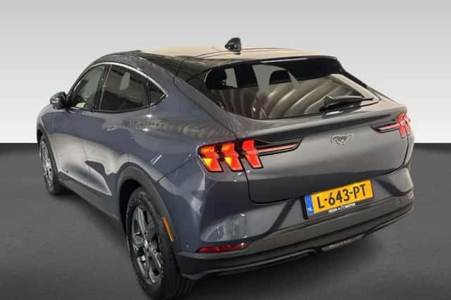 Ford Mustang Mach-E (2021) thumbnail 3