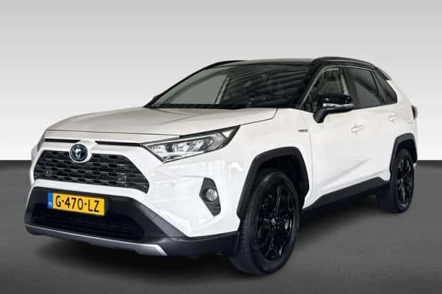 Toyota RAV4 (2019) thumbnail 1
