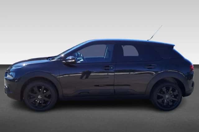 Citroën C4 Cactus (2020) thumbnail 2