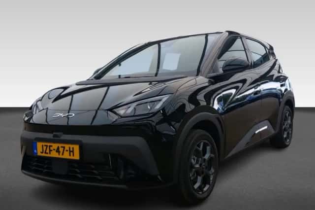 BYD Dolphin (2026) thumbnail 1