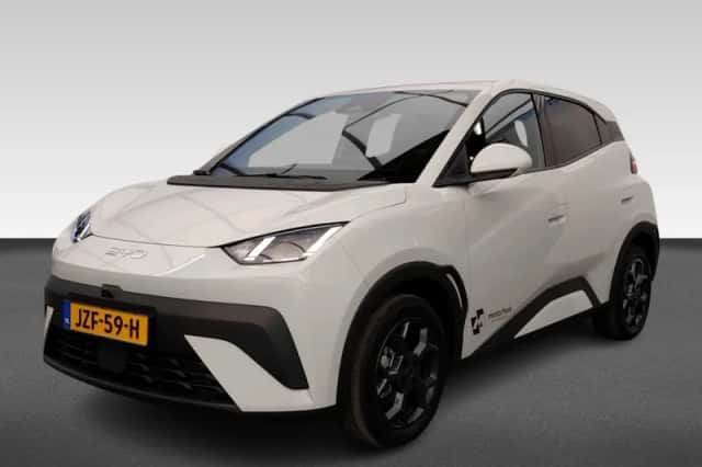 BYD Dolphin (2026) thumbnail 1