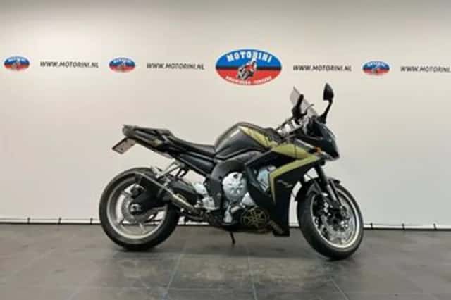 YAMAHA FZ1 (2009) thumbnail 1