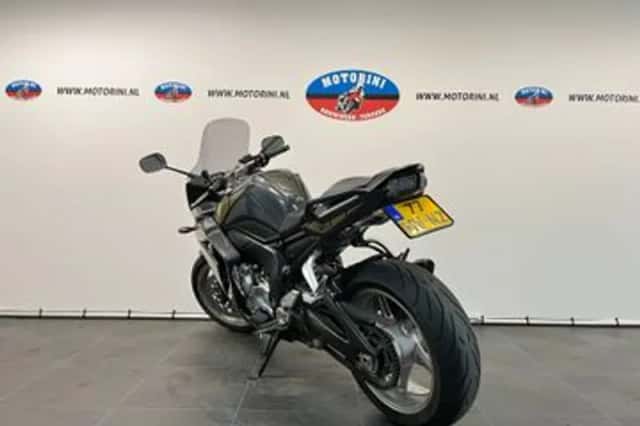 YAMAHA FZ1 (2009) thumbnail 2