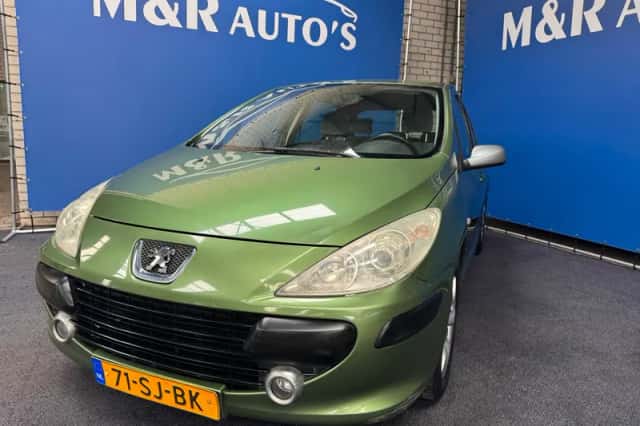 Peugeot 307 (2006) thumbnail 1