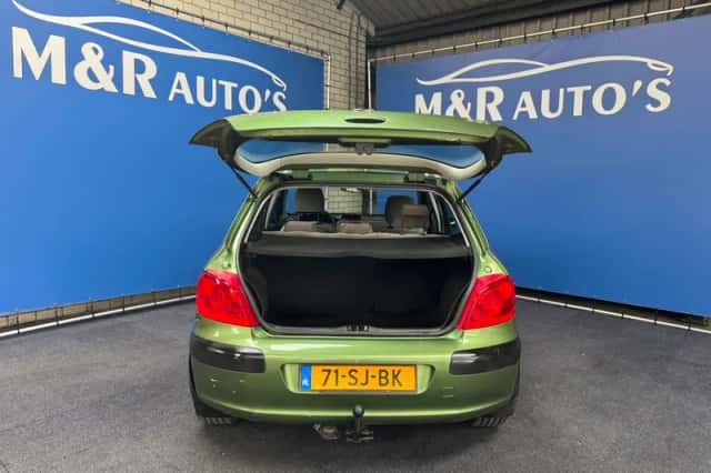 Peugeot 307 (2006) thumbnail 11