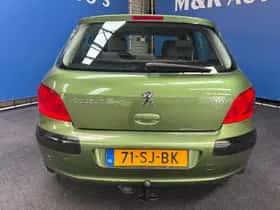 Peugeot 307 (2006) thumbnail 11