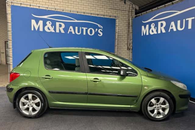 Peugeot 307 (2006) thumbnail 6