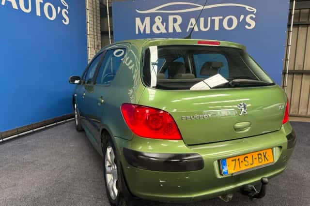 Peugeot 307 (2006) thumbnail 7