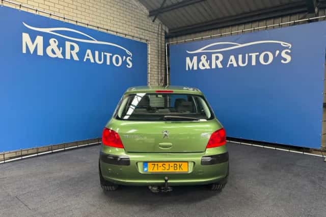 Peugeot 307 (2006) thumbnail 9