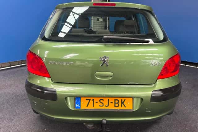 Peugeot 307 (2006) thumbnail 10