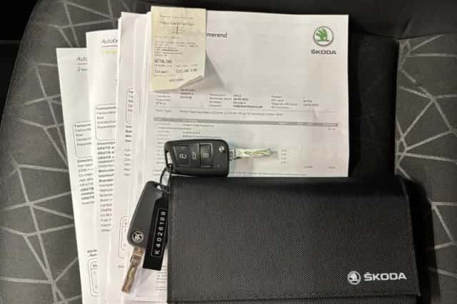 Škoda Rapid (2019) thumbnail 22