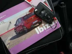SEAT Ibiza (2022) thumbnail 36