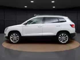 Škoda Karoq (2019) thumbnail 19