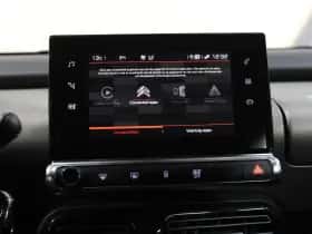Citroën C4 Cactus (2018) thumbnail 31