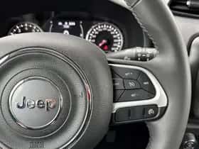 Jeep Renegade (2021) thumbnail 16