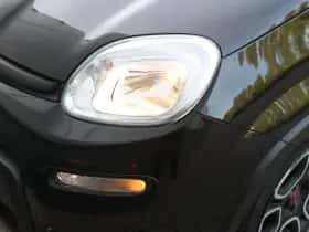 Fiat Panda (2022) thumbnail 20