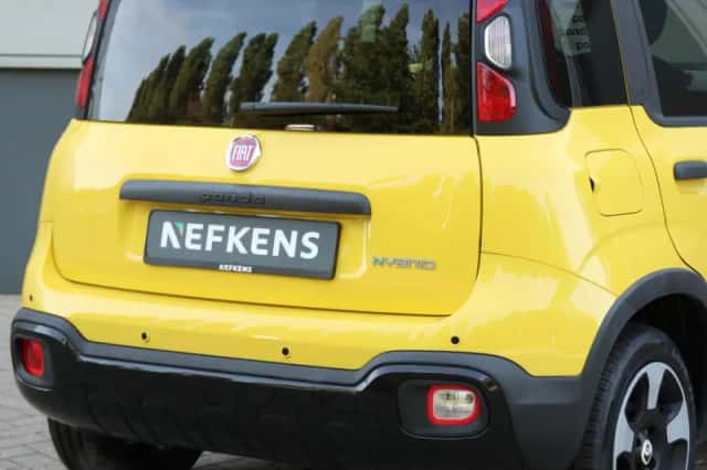 Fiat Pandina (2026) thumbnail 6