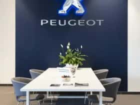 Peugeot 2008 (2021) thumbnail 38