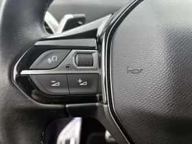 Peugeot 3008 (2019) thumbnail 15