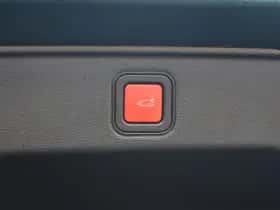 Fiat 600 (2025) thumbnail 19