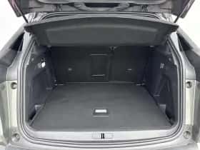 Peugeot 3008 (2019) thumbnail 30