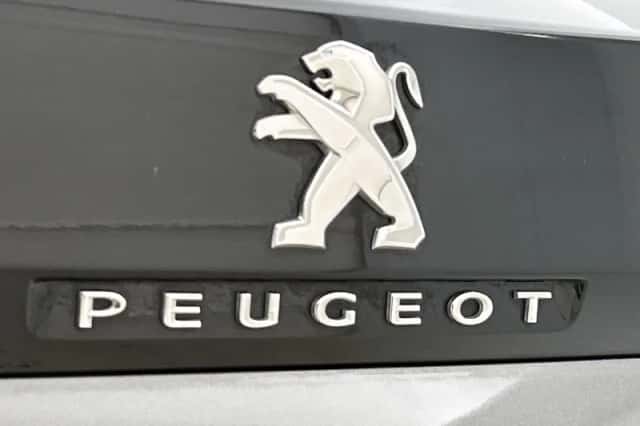 Peugeot 3008 (2020) thumbnail 30