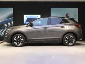 Opel Grandland X (2021) thumbnail 2