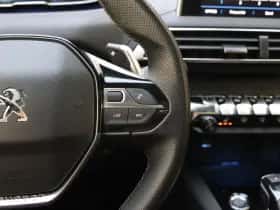 Peugeot 3008 (2019) thumbnail 31