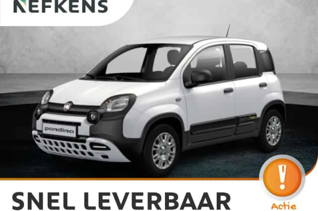 Fiat Pandina (2026) thumbnail 1