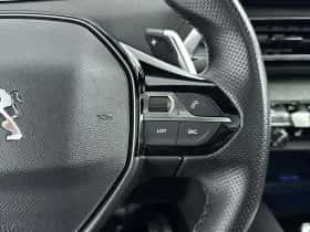Peugeot 3008 (2021) thumbnail 28