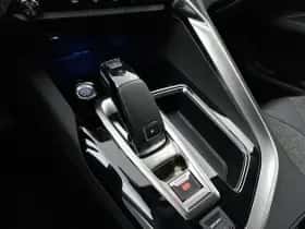 Peugeot 3008 (2019) thumbnail 28