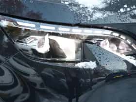 Peugeot 3008 (2020) thumbnail 20